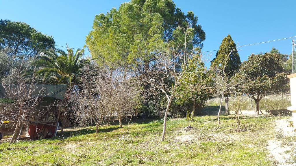 B&B Da Pietro Calascibetta Exterior photo